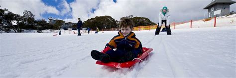 Mount Buller Tours Mount Buller Day Trips And Snow Tours From Melbourne