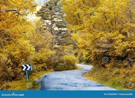 Winding Road To Forest Stock Photo Image Of Concept 41662490