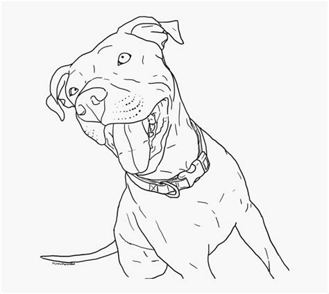 Printable Pitbull Dog Coloring Pages Hd Png Download Transparent Png