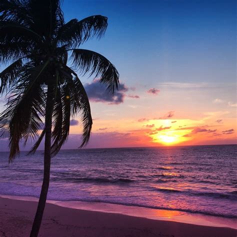 the sunsets are unreal 17 reasons you need to visit the cayman islands asap popsugar smart