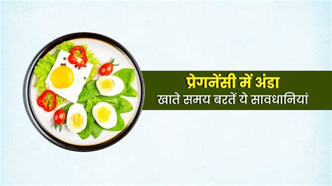 Precautions For Eating Eggs During Pregnancy In Hindi प्रेगनेंसी में