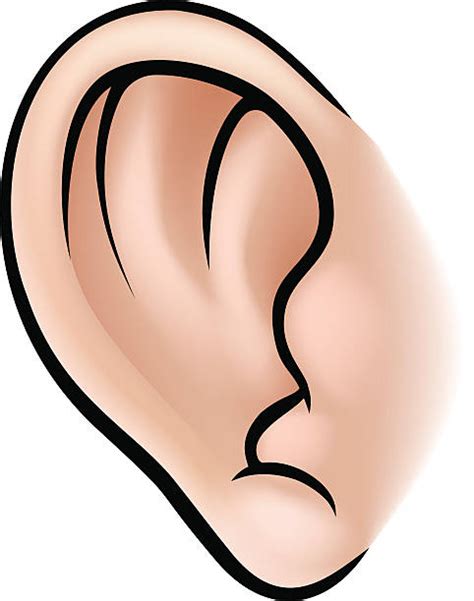 Best Ear Close Up Illustrations Royalty Free Vector Graphics And Clip