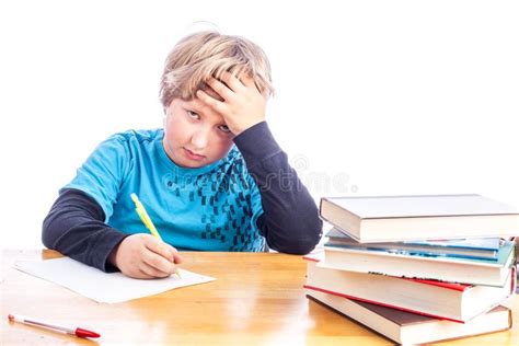 Boy Doing Homework Stock Photo Image Of Knowledge School 28835192