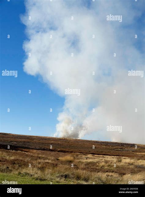 Controlled Heather Burning On The North Yorkshire Moors To Prevent It