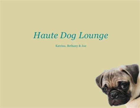 Haute Dog Lounge Note The Final Presentation Is Shared On Prezi At