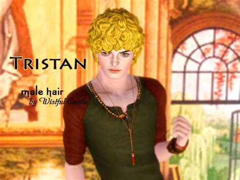 Curlysim Sims 3 Mods Sims 4 Sims 3 Male Hair Mens Hairstyles Castle