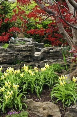 If you want an easy way to walk through your rock garden, try making a path with small pebbles. Easy Rock Garden Ideas Photograph | Rock Garden Designs - Qu