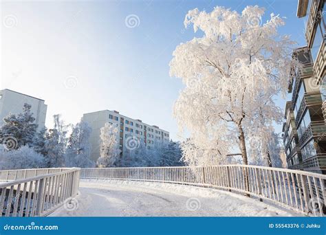 Cold Fresh Winter Morning Stock Photo Image Of Landscape 55543376
