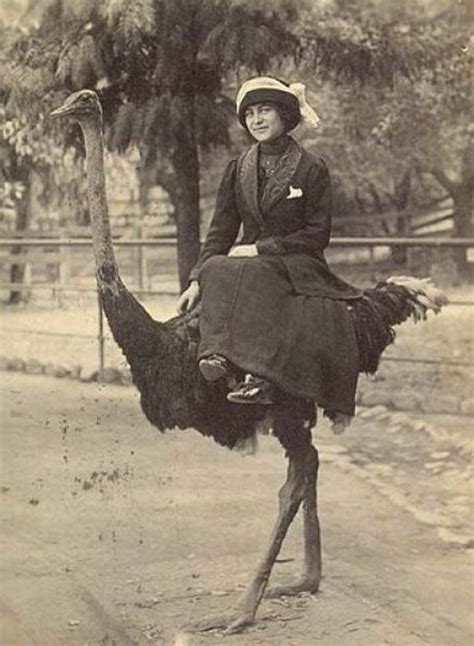 A Woman Riding Side Saddle Weird Vintage Vintage Photos Vintage