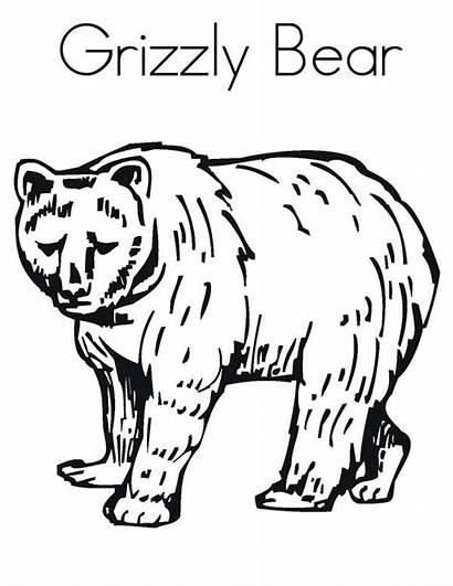 Coloring Bear Grizzly Pages Drawing Enormous Angry