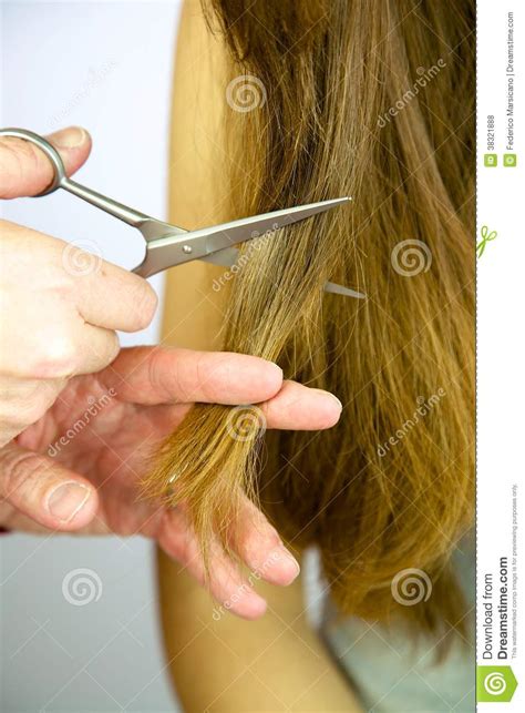 Closeup Of Very Long Hair Being Cut With Scissors Stock