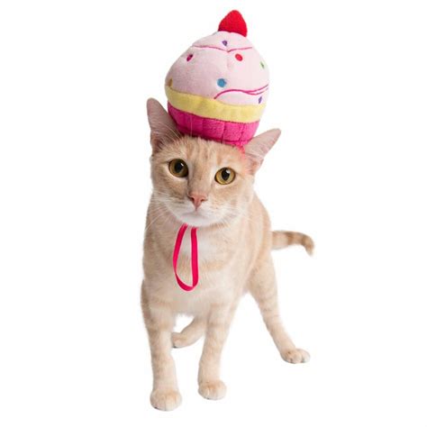 Pet Krewe Cupcake Hat Costume For Cats And Dogs Single Pet Costumes