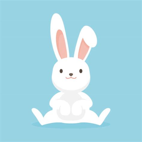 White Bunny Rabbit Hare Funny Head Cute Kawaii Cartoon Round Happy
