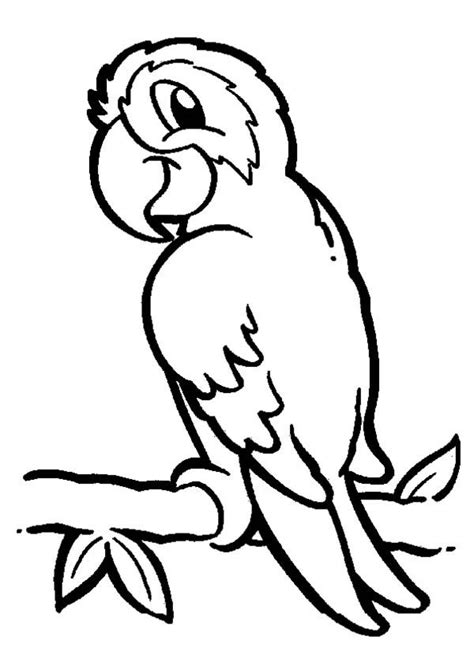Parrot On Branch Coloring Page Parrot On Branch Coloring Page Bird