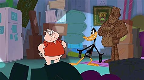 New Looney Tunes Hoarder Upcougar Cougar Tv Episode 2018 Imdb