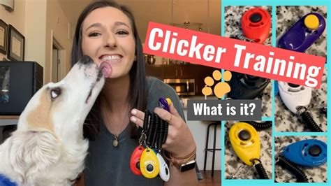 How To Clicker Train Your Dog An Intro To Positive Reinforcement