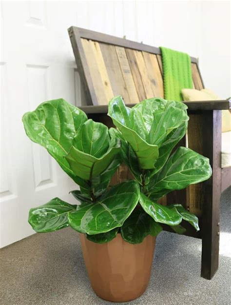 Home depot is ready for us! Home Depot Best Furniture - Stylish Home Depot Decor ...