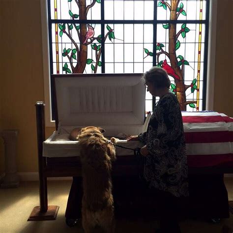 Heartbroken Dog Bids A Touching Farewell To His Best Friend Who Died