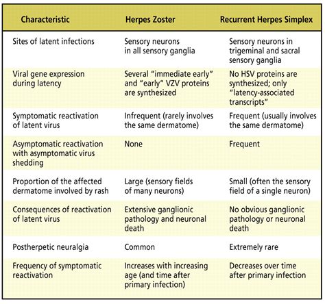 Herpes Zoster Pathogenesis And Cell Mediated Immunity And Immunosenescence