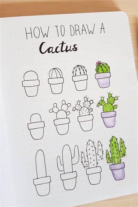 A Notebook With Cactus Drawings On It And The Words How To Draw A Cactus