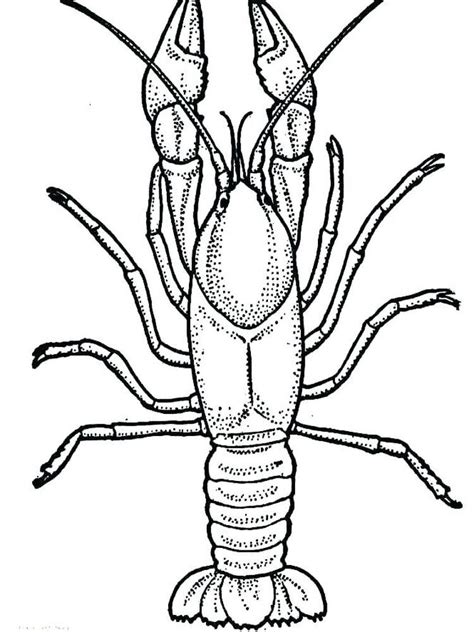 Make a coloring book with lobster crawfish for one click. Lobster Coloring Page Print | Fish coloring page, Animal ...