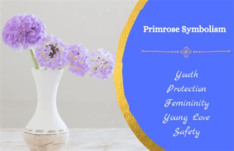 The Symbolic Primrose Interpreting Its Many Meanings Symbol Sage