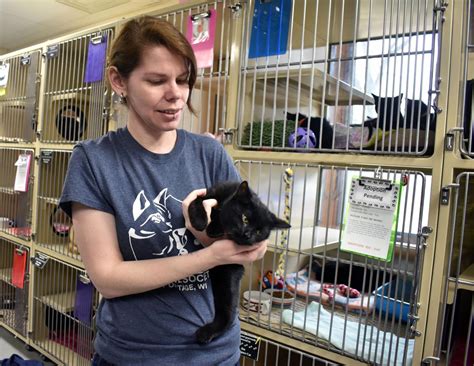 The Sanctuary For Homeless Paws How Portage County Humane Society Provides A Safe Haven For Animals