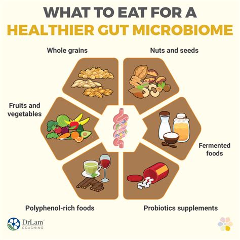 An Intro To Your Gut Microbiome And Foods To Keep It Healthy