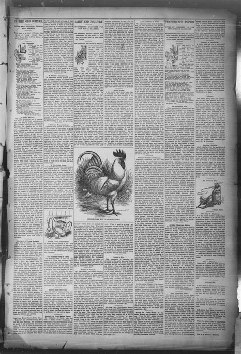 The Bryan Daily Eagle. (Bryan, Tex.), Vol. 2, No. 232, Ed. 1 Friday