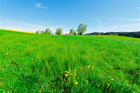 Pastures Stock Photo Image Of Europe Green Agriculture 39941992