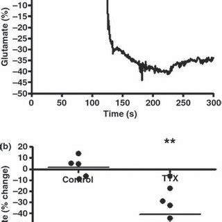 The Effects Of An Uptake Inhibitor On Extracellular Glutamate After