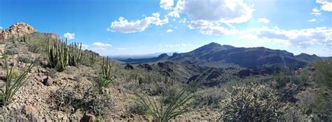 Both are improved with some paving in certain areas. Organ Pipe Cactus National Monument (Ajo) - All You Need ...