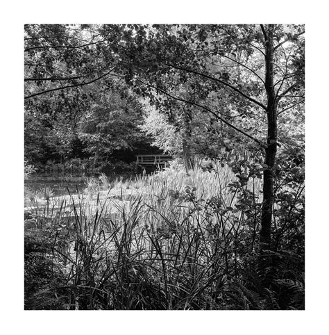 Forest Pond Camera Mamiya Six Automat I 6x6 Cm Lens Ol Flickr