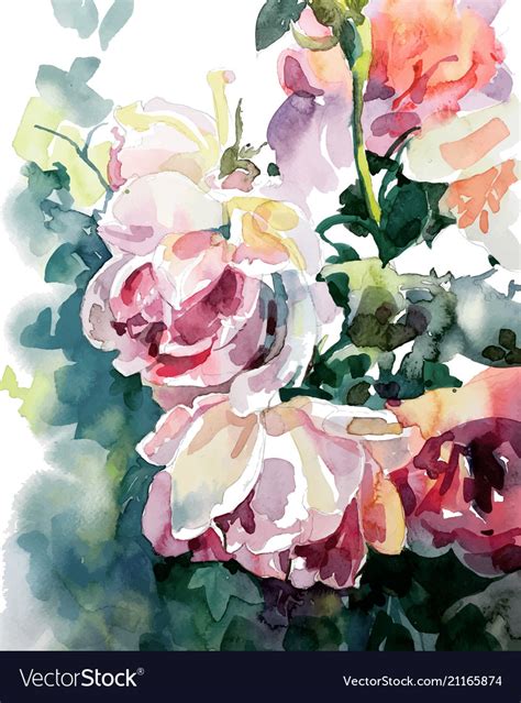 Original Watercolor Painting Of Pink Roses Vector Image