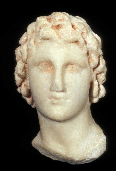 Head Of Alexander The Great Collections Antiquities Museum