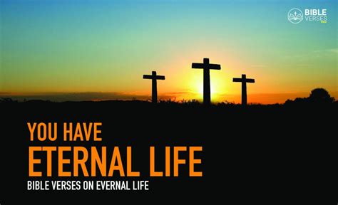 26 Important Bible Verses On Eternal Life For Every Believer