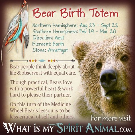 Bear Totem Native American Zodiac Signs And Birth Signs