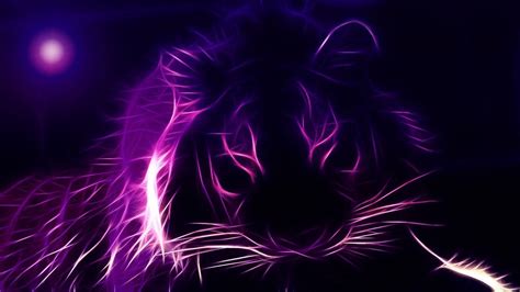 Purple Hd Desktop Wallpapers Top Free Purple Hd Desktop Backgrounds