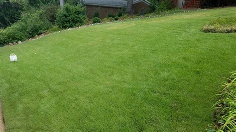 Pointsource pest control dirba šiose srityse: Browse Our Gallery | Alliance Turf, Shrub and Pest