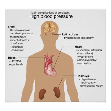 This page provides histology support information for blood vessel structure. Caregiver Training | AM Friends & Family Healthcare LLC