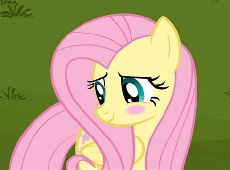 Why Everyone Loves Fluttershy Rmylittlepony