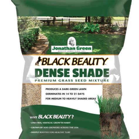 Emerald Park Shady Grass Seed Shop Grass Seed American Plant