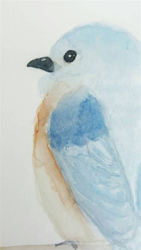 Original Watercolor Painting Of An Eastern Bluebird Home Decor Wall