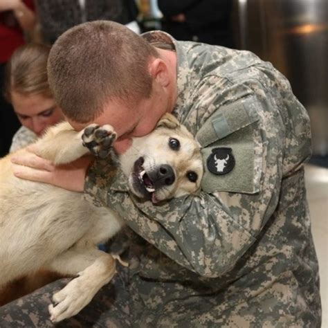 30 Stunning Photos Of Soldiers And Their Dogs That Speak For Themselves
