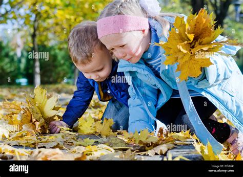 Children Collecting Autumn Leaves Stock Photo Alamy