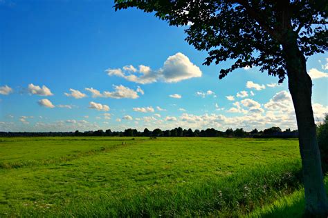 Free Images Landscape Tree Nature Horizon Cloud Sky Field Farm