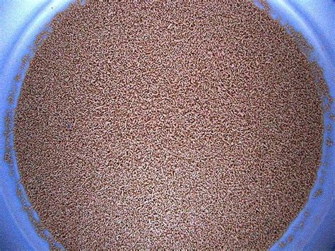 Infatti, l'ideale è fare 6 pasti al giorno, anche se per ingrassare devi arricchire i tuoi cibi con ingredienti di alto valore calorico e nutritivo. Alimentos para la limpieza vesicular :: Cómo desintoxicar ...