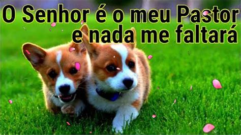 Com sentimentos de tempos atrás. CCB Lindos Hinos Cantados 411,061,232,403,049,042,194,454,042,186,275,061,458,274 OUT16 - YouTube