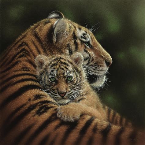 Tiger Mother And Cub Cherished Painting By Collin Bogle Pixels