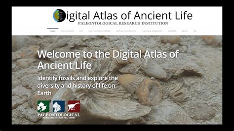 Digital Atlas Of Ancient Life Youtube